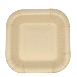 BANDEJA PLANA #1 ecológica compostable desechable ecolovers medellín colombia1