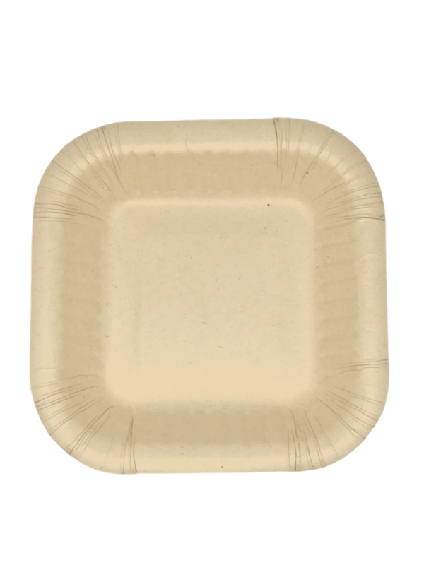 BANDEJA PLANA #1 ecológica compostable desechable ecolovers medellín colombia1