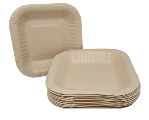 BANDEJA PLANA #1 ecológica compostable desechable ecolovers medellín colombia1