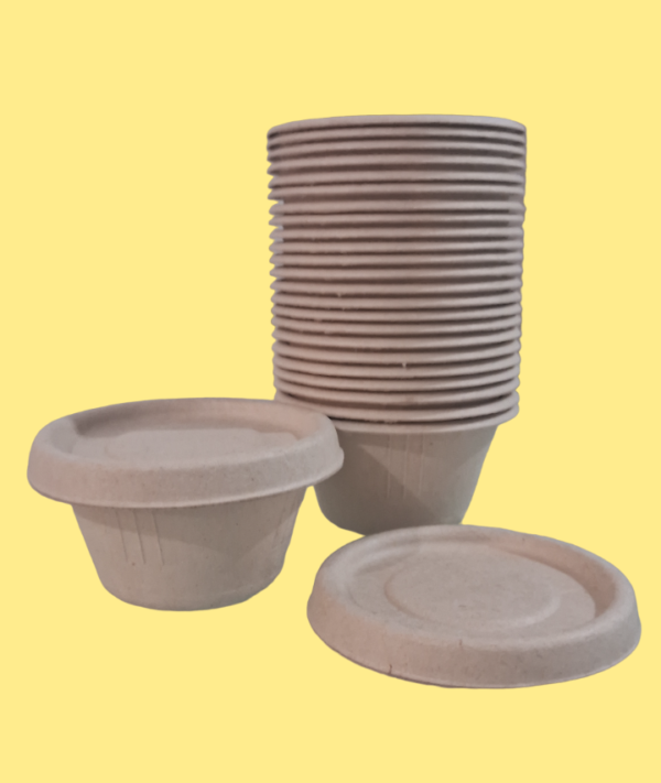 salsero compostable ecolovers