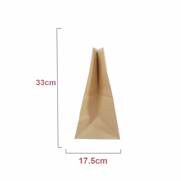 Bolsas de Papel Earthpact #2 (26.5x33+17.5cm) - Imagen 3