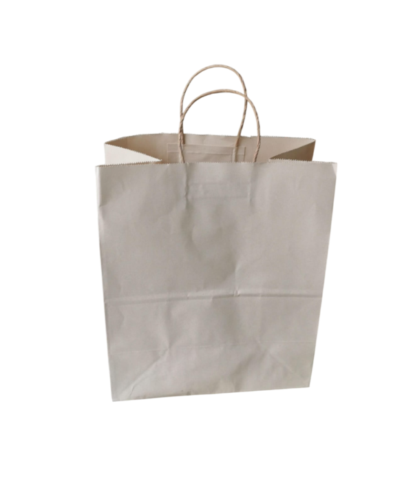 Bolsas de Papel Con Tiras Earthpact #2 (26.5x33+17.5cm) - Imagen 3