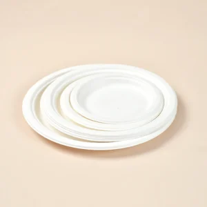 Platos Compostables