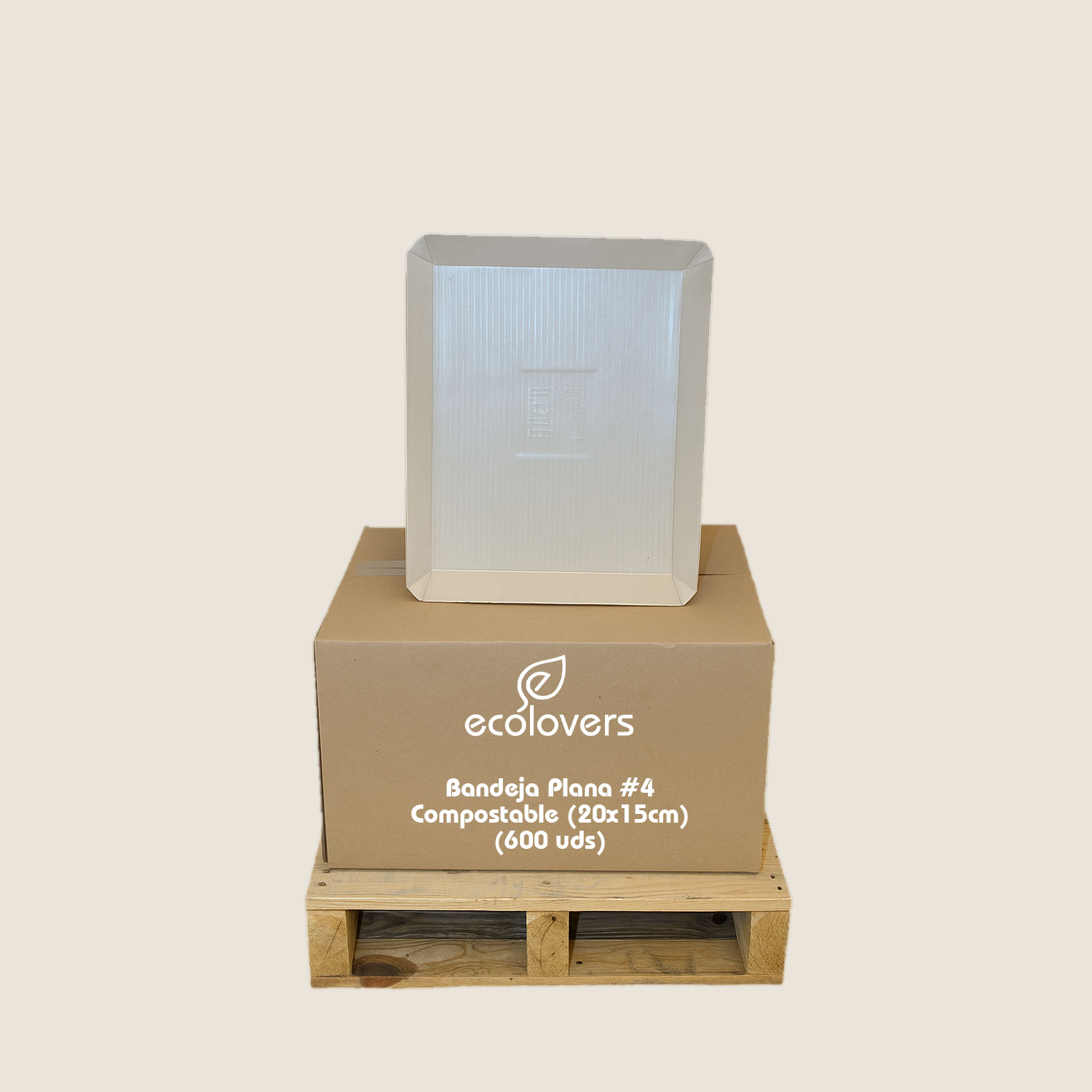 Bandeja Plana Ecológica #4 (20x15cm) Caja 600 uds
