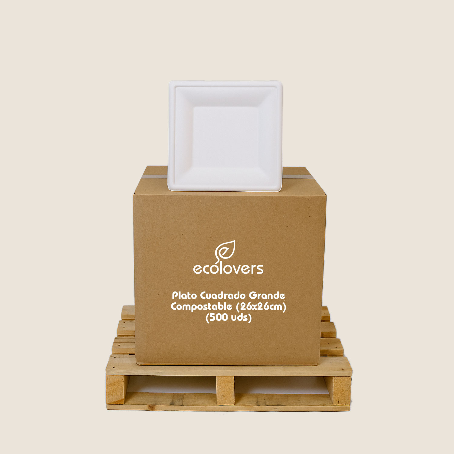 Plato Cuadrado Grande Compostable (26x26cm) (500 uds)